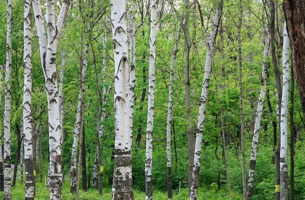 69212d9c3d635.jpg 69212d9c3d635.jpg