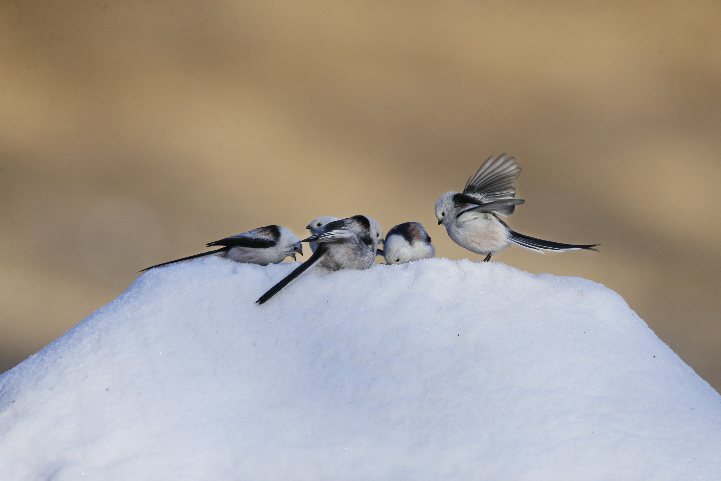 69213253b0d65.jpg 69213253b0d65.jpg