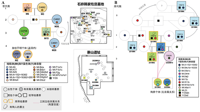 石峁古城人群从哪来？殉葬制度有何玄机？最新古DNA研究给出答案