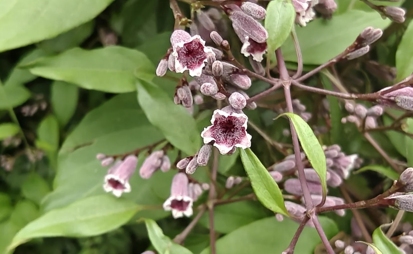 6961e7f95cbfa.jpg 6961e7f95cbfa.jpg