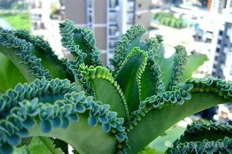 69634ac13f364.jpg 69634ac13f364.jpg