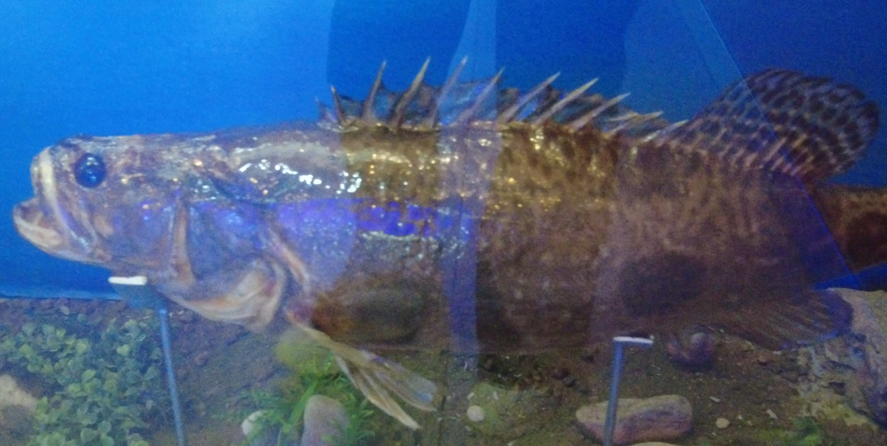 699d87f285910.png 699d87f285910.png