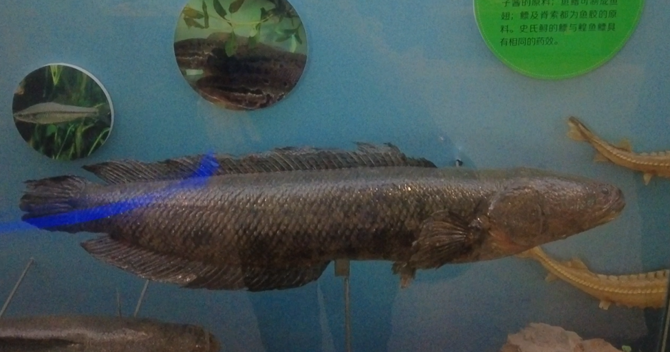 699e4c8c12661.png 699e4c8c12661.png