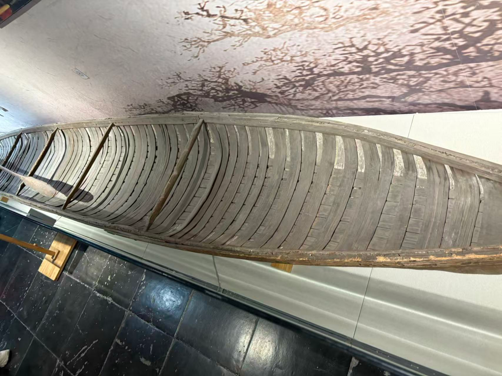 699e530114672.png 699e530114672.png