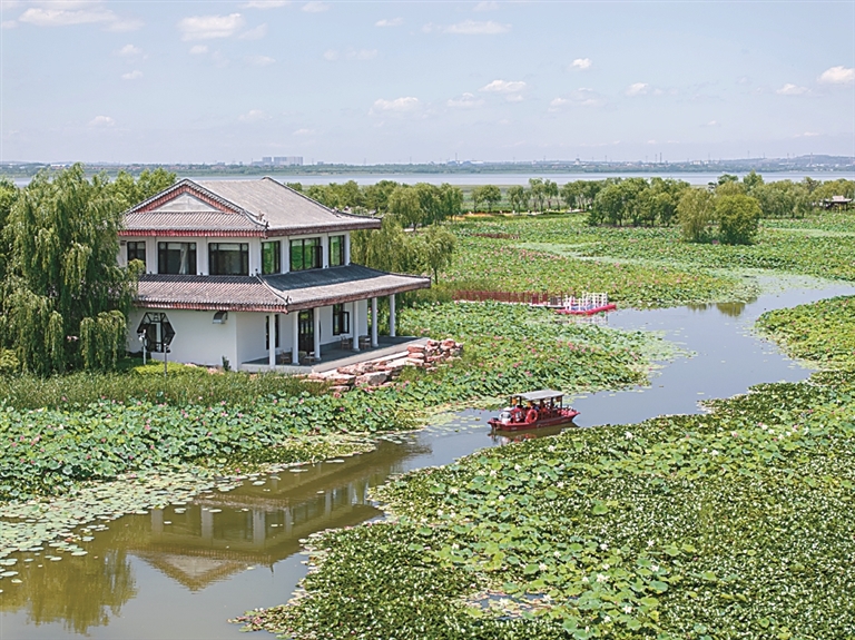 法护绿水青山 绘就美丽中国新画卷
